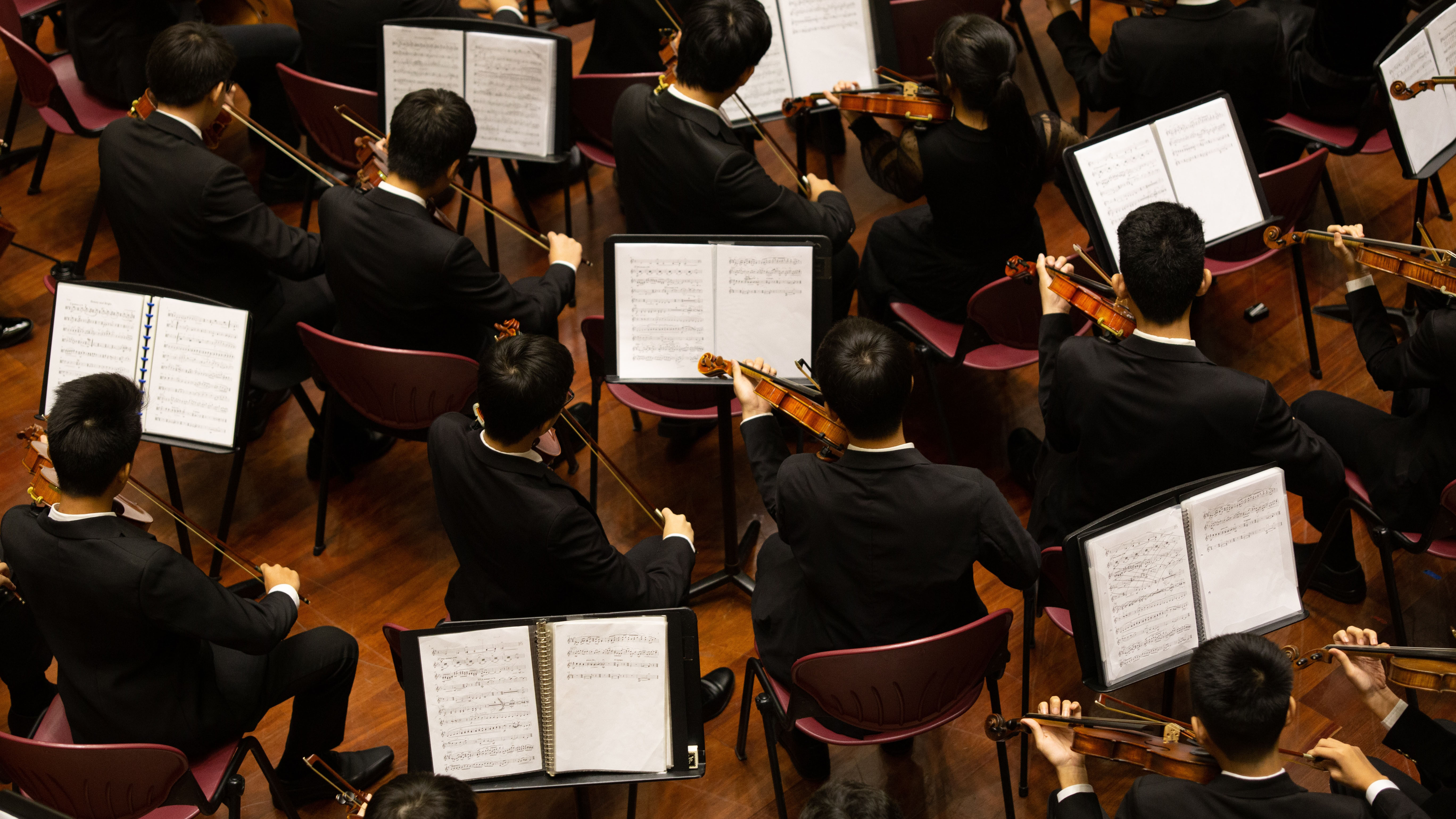 Миры Миядзаки: Nello Music Orchestra